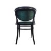 Super-Seat | Die Michael Thonet 210 Vintage Bugholz-Armstühle Schwarz/Grün | Schwarzer Holzstahl mit gebogenem Teppich und Potentiometer, grün/schwarzer, fließender Hintergrund. | Horecameubilair